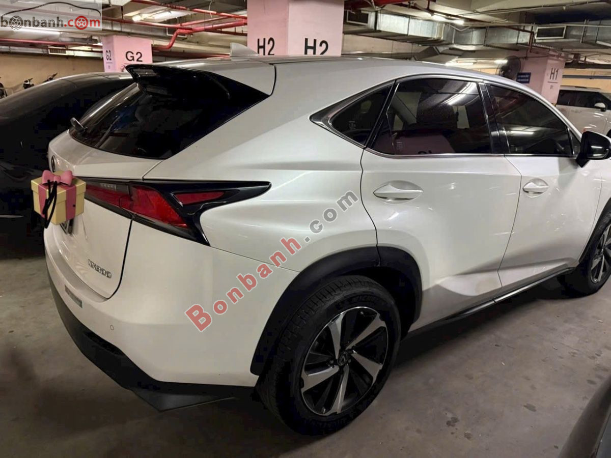 Bán ô tô Lexus NX 300 - 2018 - xe cũ