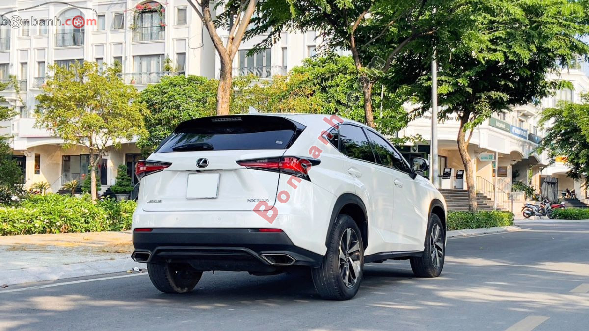 Bán ô tô Lexus NX 300 - 2019 - xe cũ