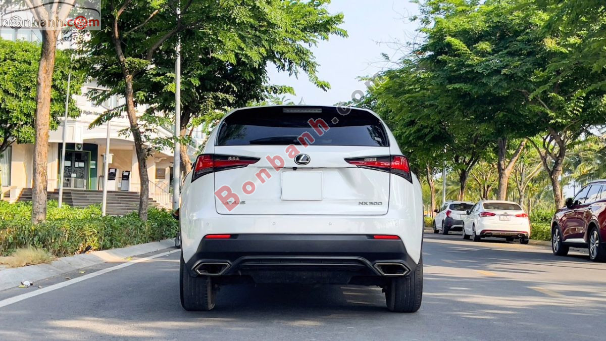 Bán ô tô Lexus NX 300 - 2019 - xe cũ