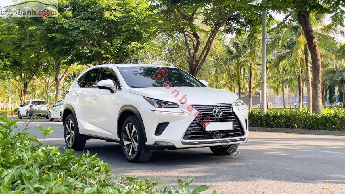 Bán ô tô Lexus NX 300 - 2019 - xe cũ