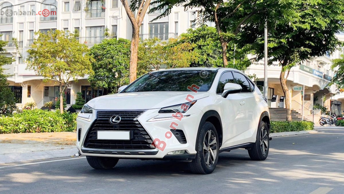 Bán ô tô Lexus NX 300 - 2019 - xe cũ