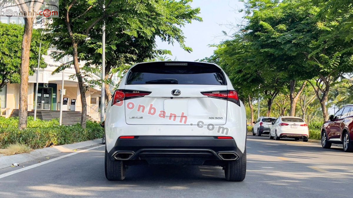 Bán ô tô Lexus NX 300 - 2019 - xe cũ