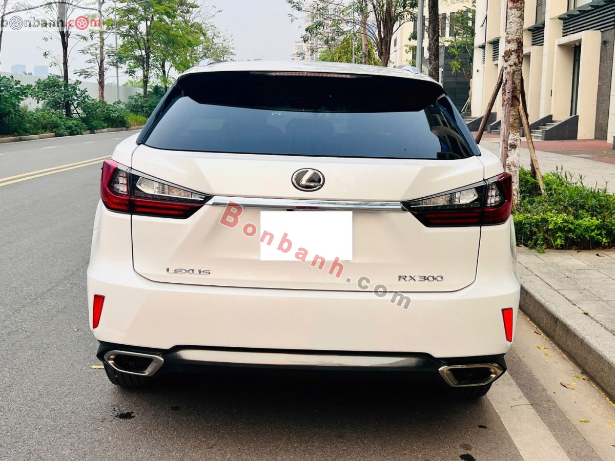 Bán ô tô Lexus RX 300 - 2019 - xe cũ