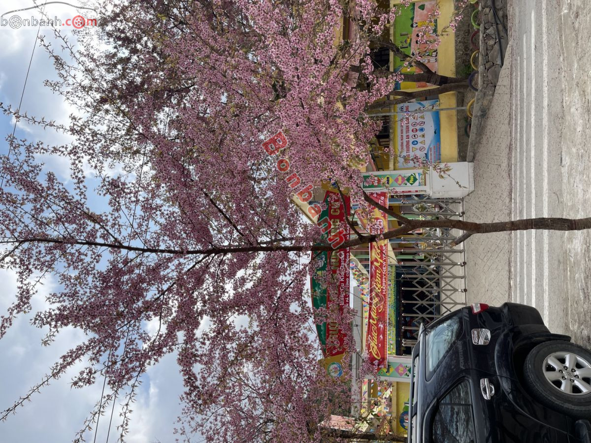 Bán ô tô Toyota Fortuner 2.5G - 2011 - xe cũ