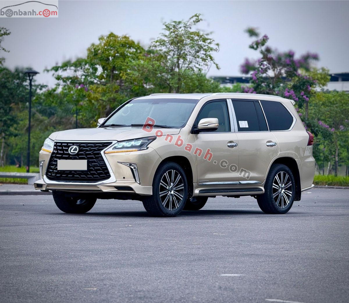 Bán ô tô Lexus LX 570 - 2008 - xe cũ