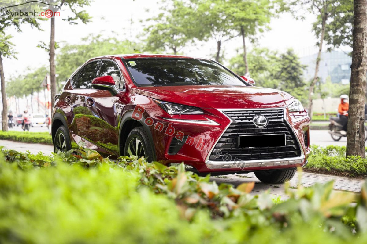 Bán ô tô Lexus NX 300 - 2019 - xe cũ