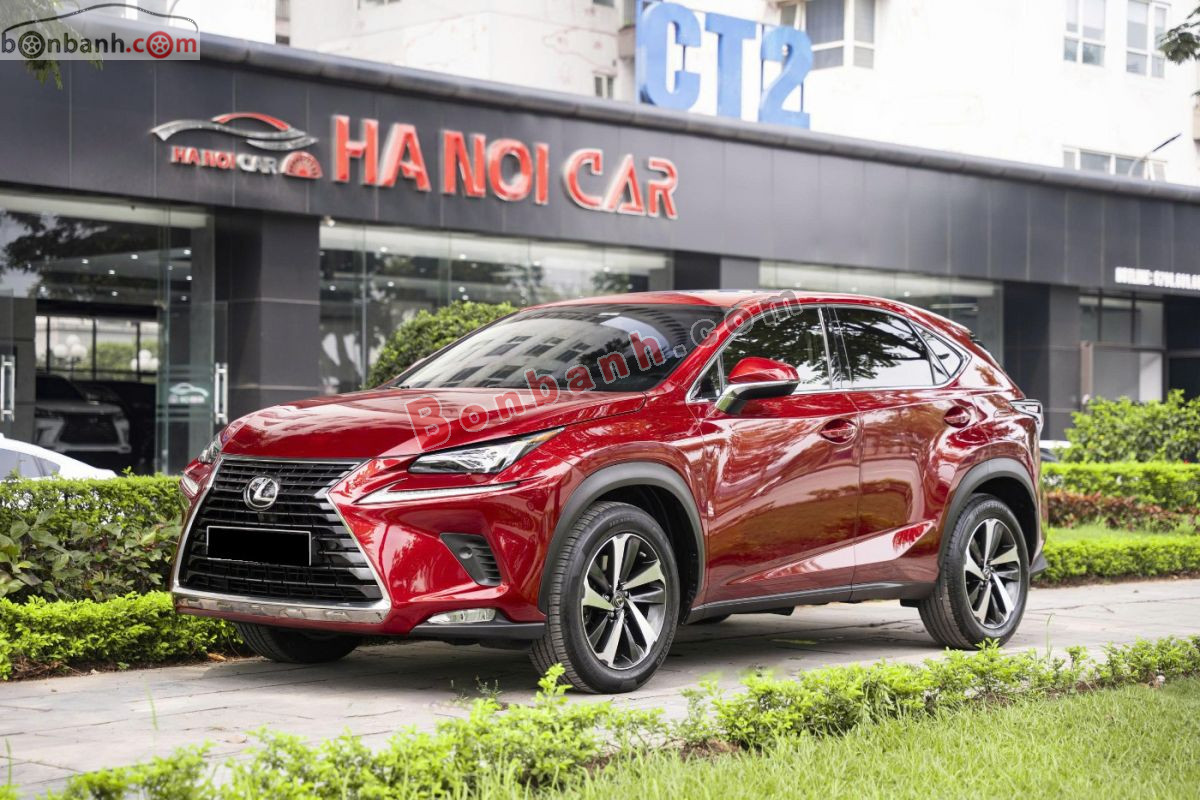 Bán ô tô Lexus NX 300 - 2019 - xe cũ