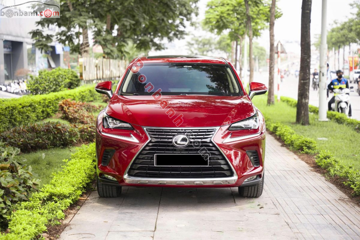 Bán ô tô Lexus NX 300 - 2019 - xe cũ