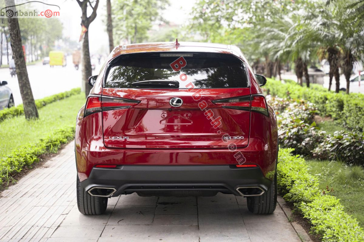 Bán ô tô Lexus NX 300 - 2019 - xe cũ