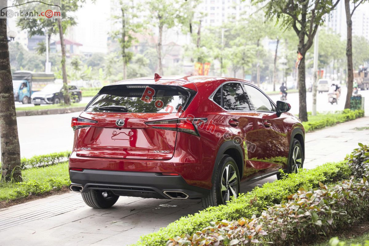Bán ô tô Lexus NX 300 - 2019 - xe cũ