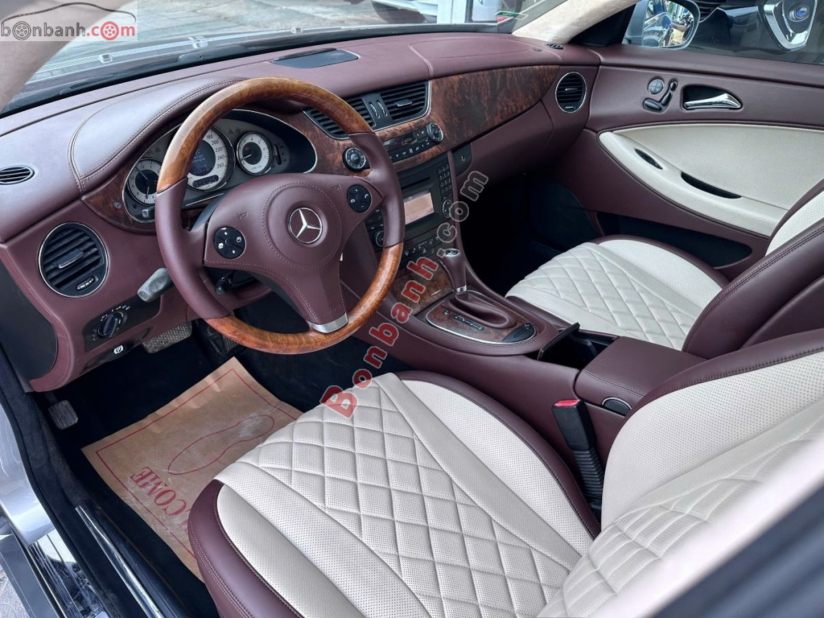 Bán ô tô Mercedes Benz CLS class CLS 300 - 2010 - xe cũ