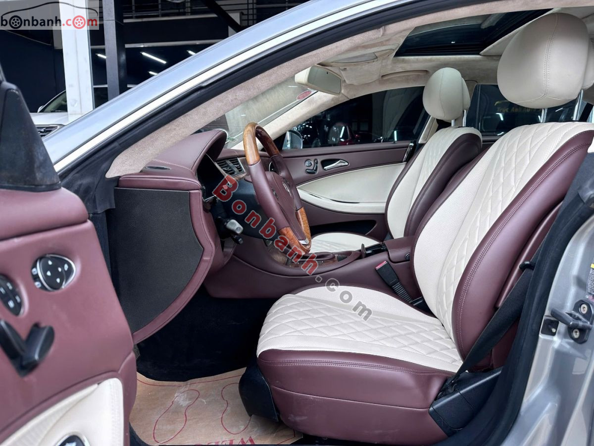 Bán ô tô Mercedes Benz CLS class CLS 300 - 2010 - xe cũ