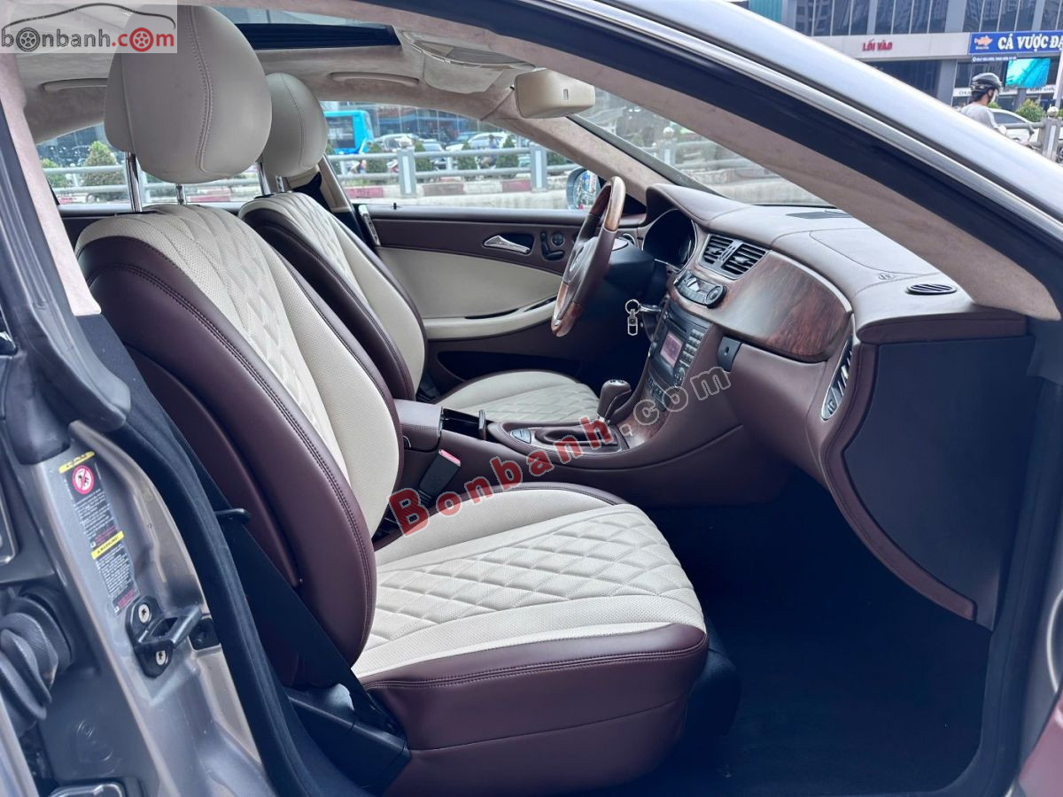 Bán ô tô Mercedes Benz CLS class CLS 300 - 2010 - xe cũ
