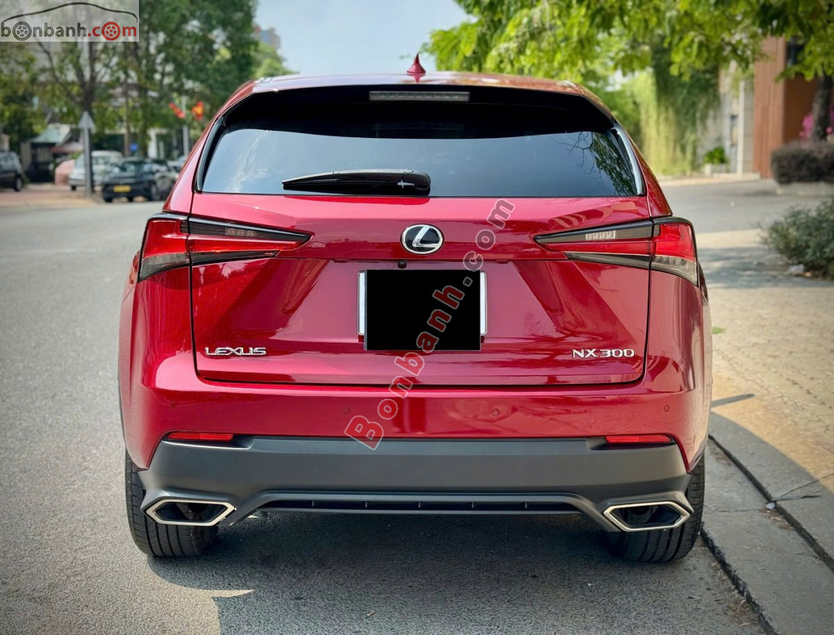 Bán ô tô Lexus NX 300 - 2019 - xe cũ