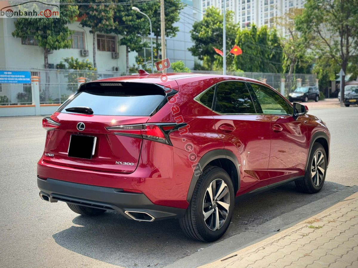 Bán ô tô Lexus NX 300 - 2019 - xe cũ