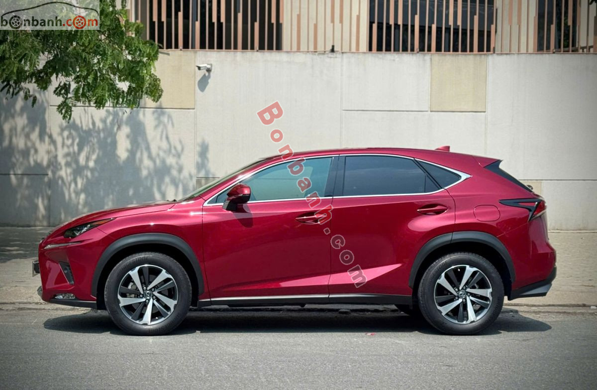 Bán ô tô Lexus NX 300 - 2019 - xe cũ