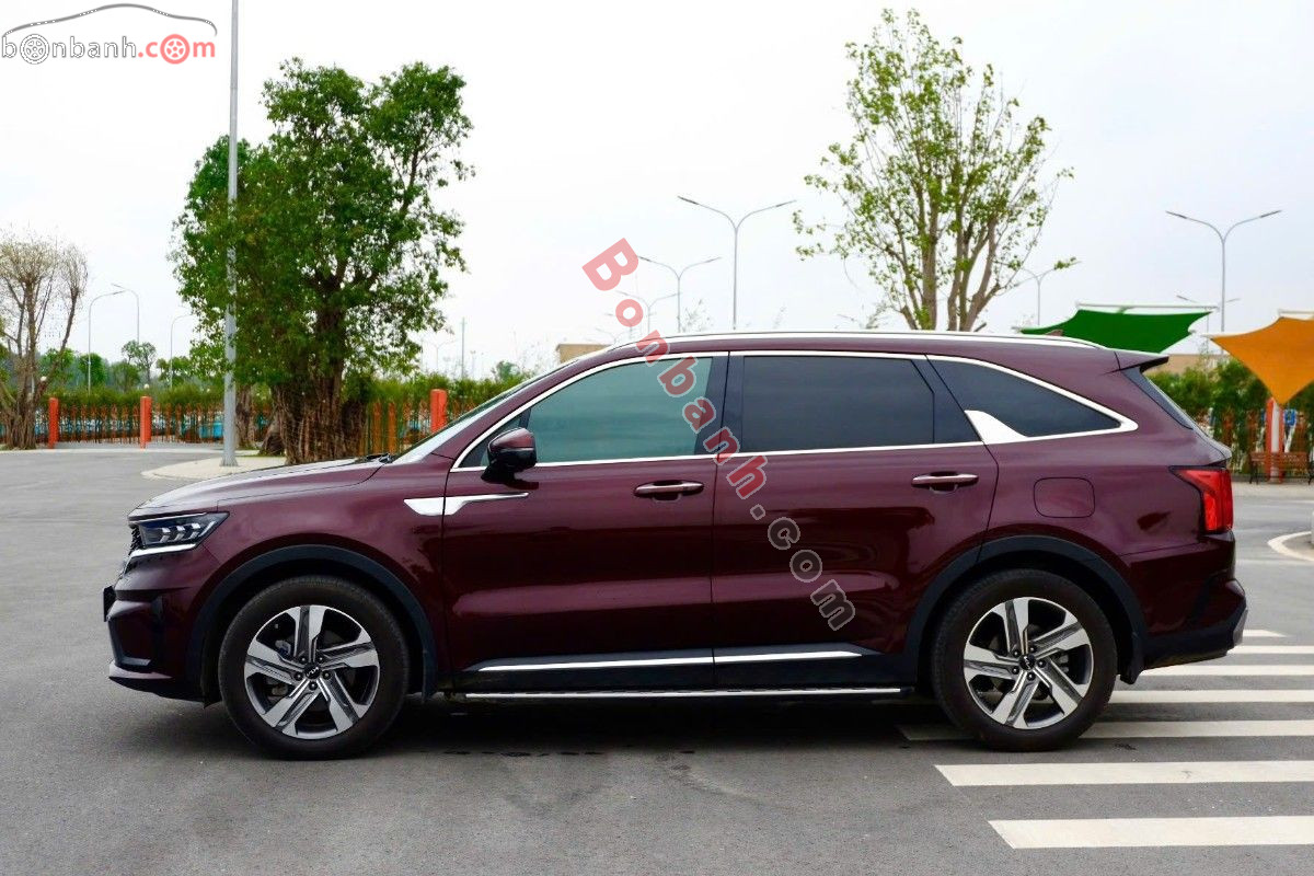 Bán ô tô Kia Sorento Signature 2.2 AT AWD - 2024 - xe cũ