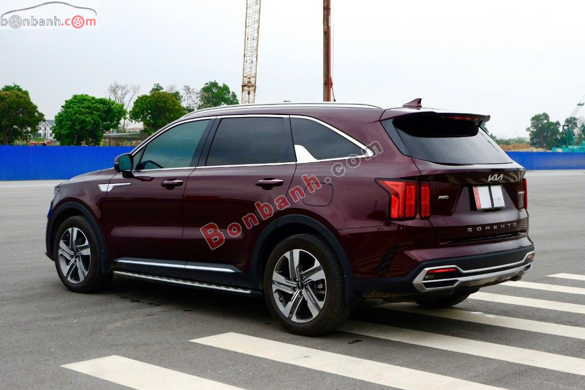 Bán ô tô Kia Sorento Signature 2.2 AT AWD - 2024 - xe cũ