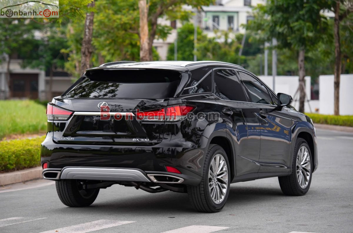 Bán ô tô Lexus RX 300 - 2019 - xe cũ