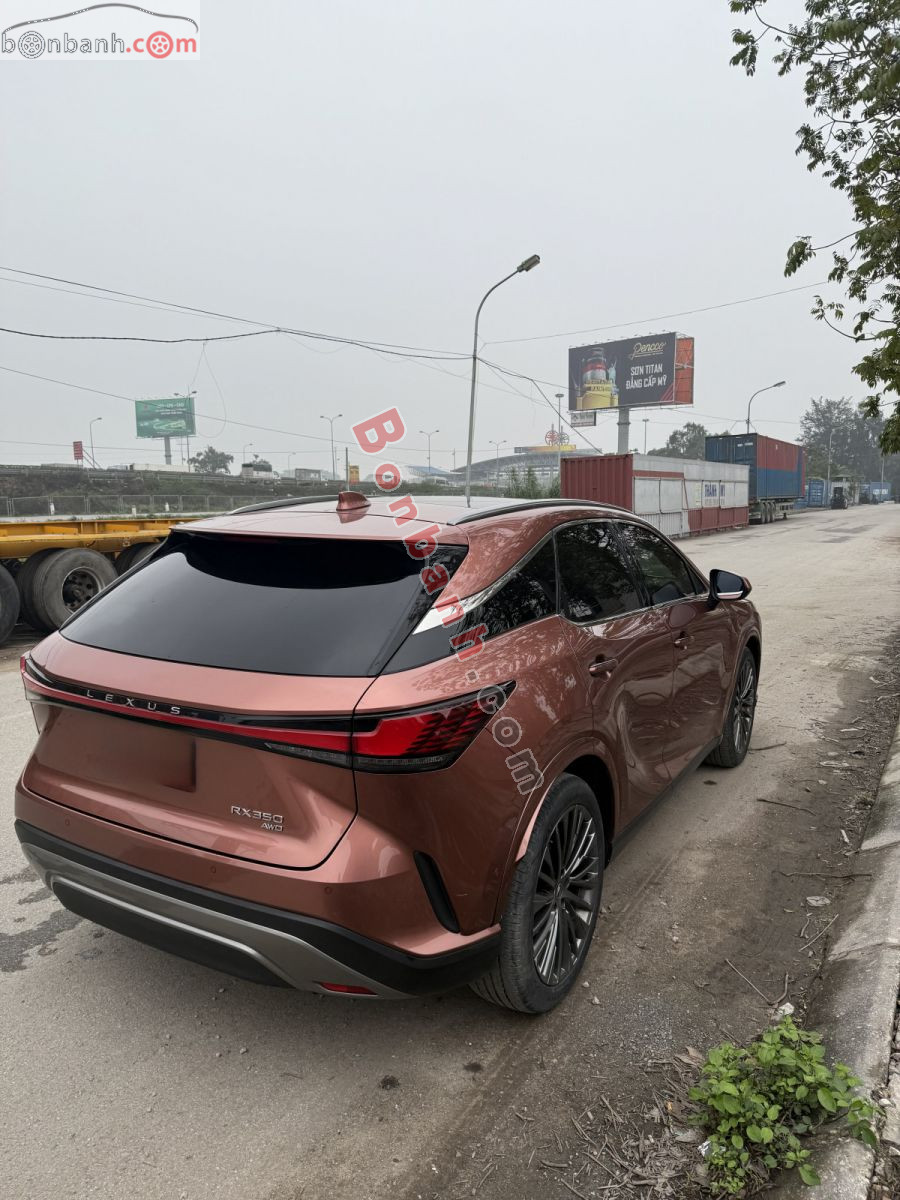 Bán ô tô Lexus RX 350 Luxury - 2023 - xe cũ