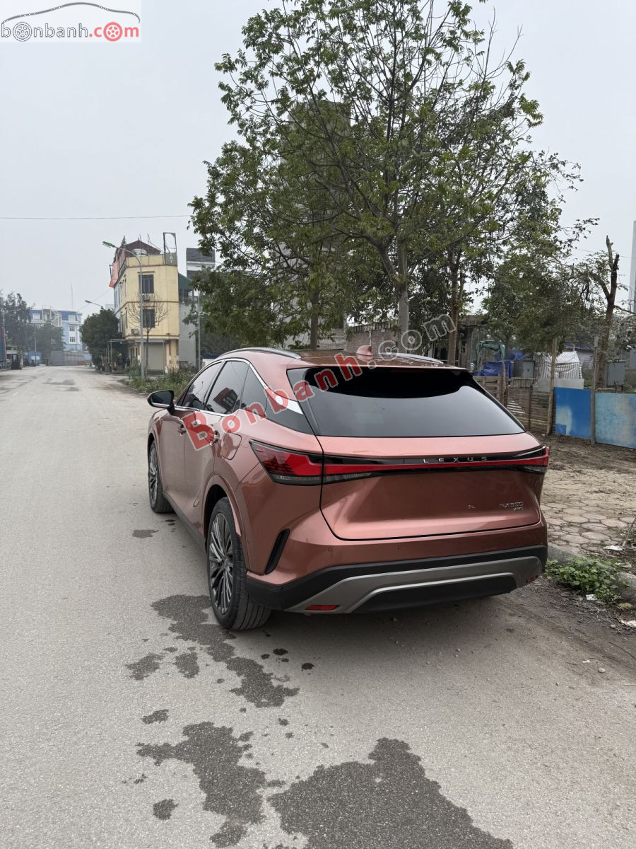 Bán ô tô Lexus RX 350 Luxury - 2023 - xe cũ