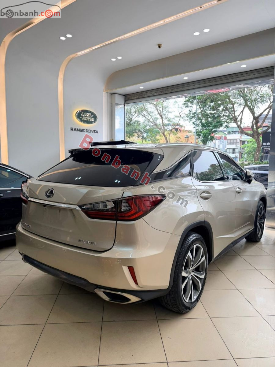 Bán ô tô Lexus RX 300 - 2018 - xe cũ