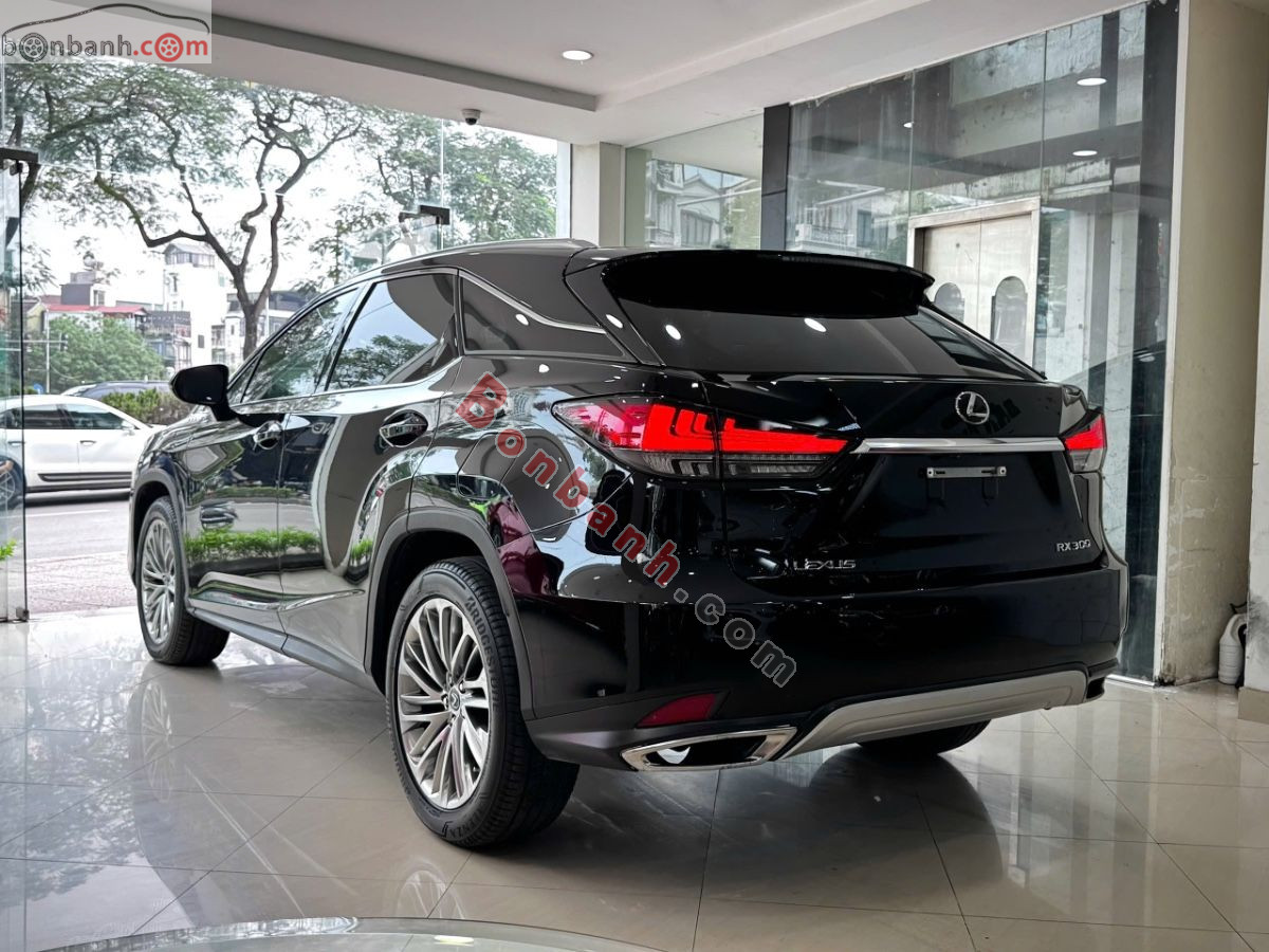 Bán ô tô Lexus RX 300 - 2019 - xe cũ