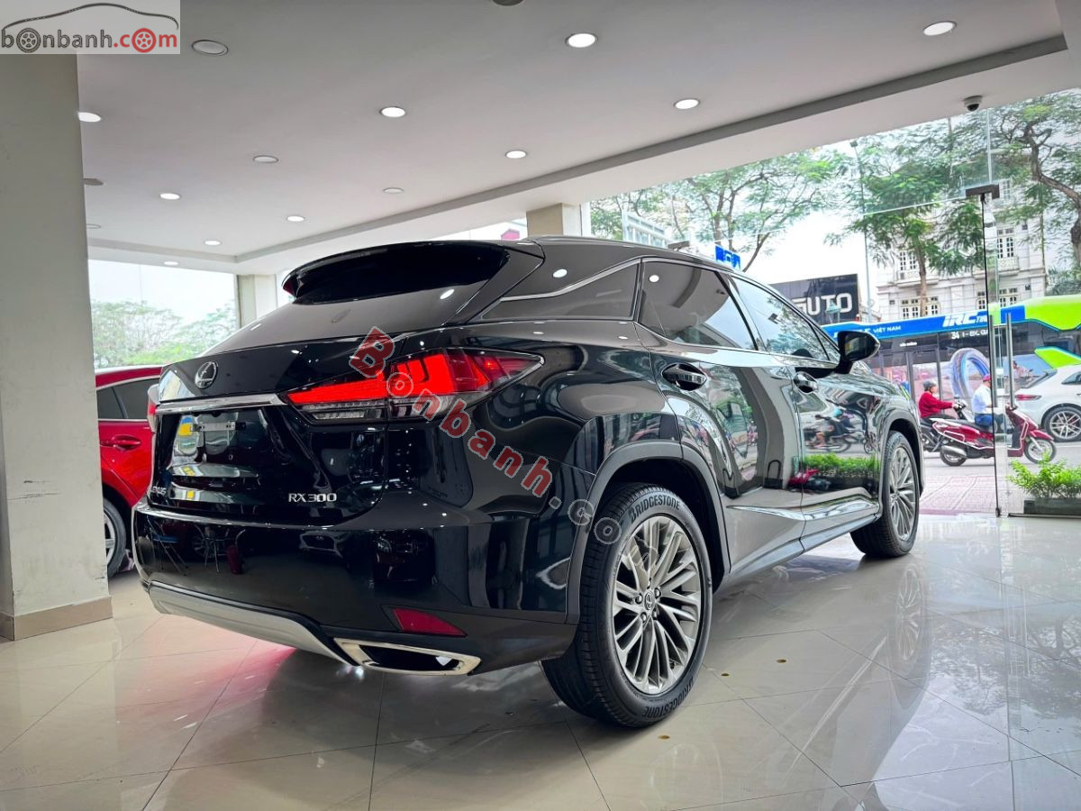 Bán ô tô Lexus RX 300 - 2019 - xe cũ