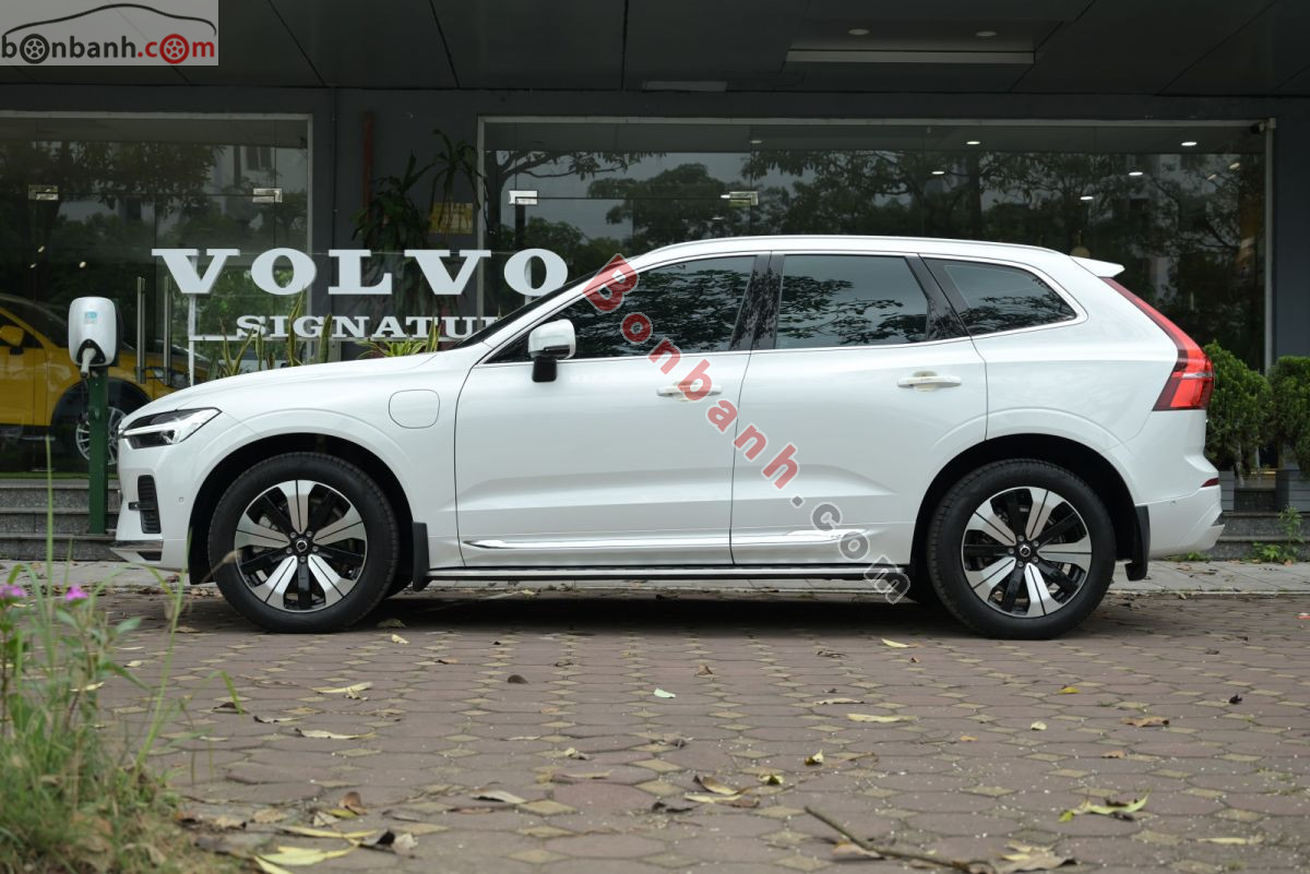 Bán ô tô Volvo XC60 Recharge Ultimate T8 AWD - 2024 - xe cũ