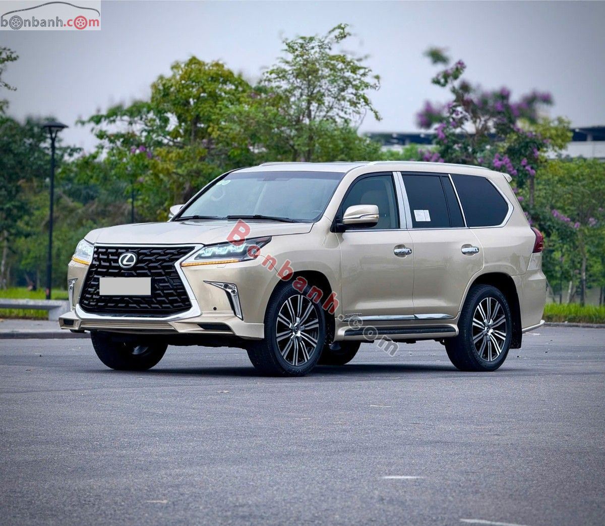 Bán ô tô Lexus LX 570 - 2008 - xe cũ