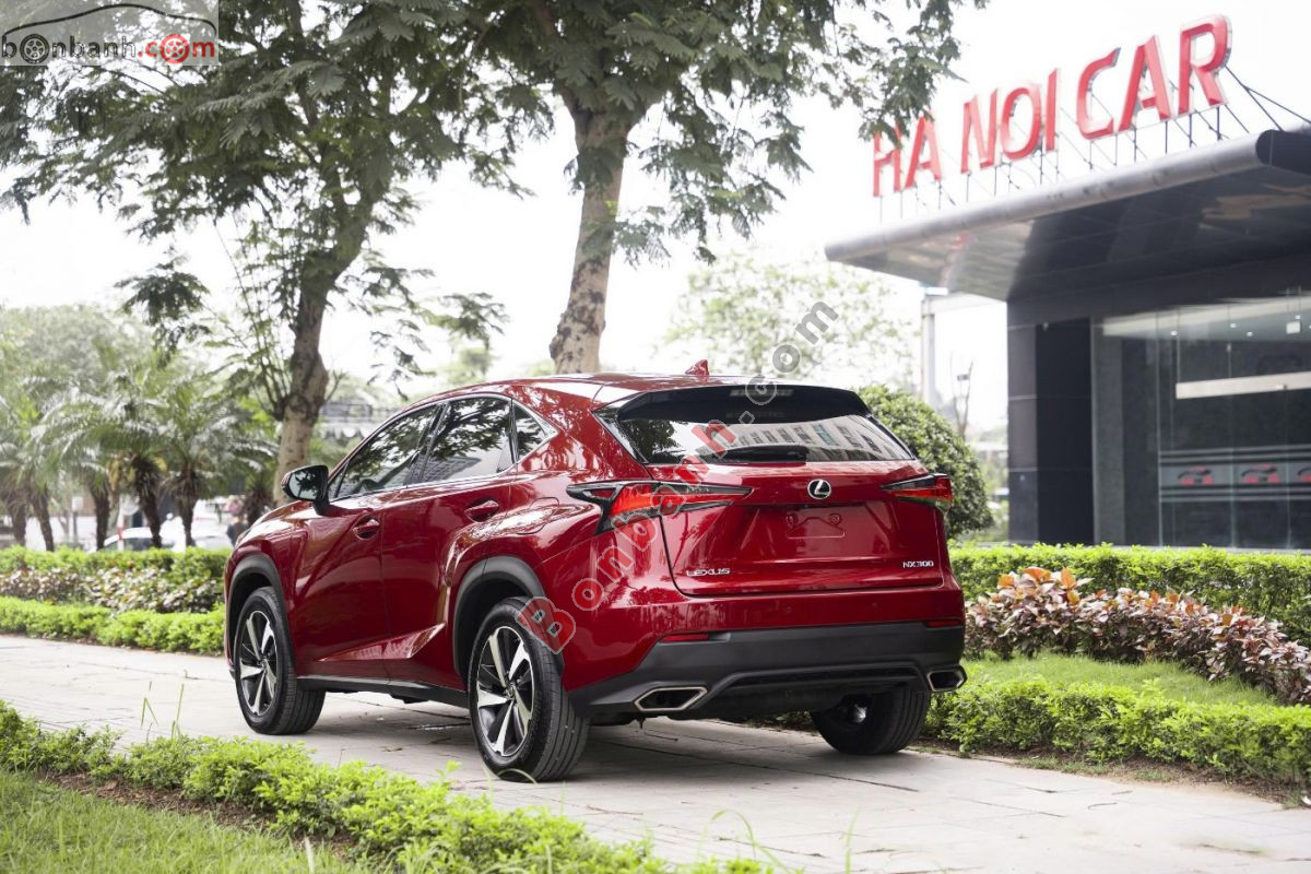 Bán ô tô Lexus NX 300 - 2019 - xe cũ