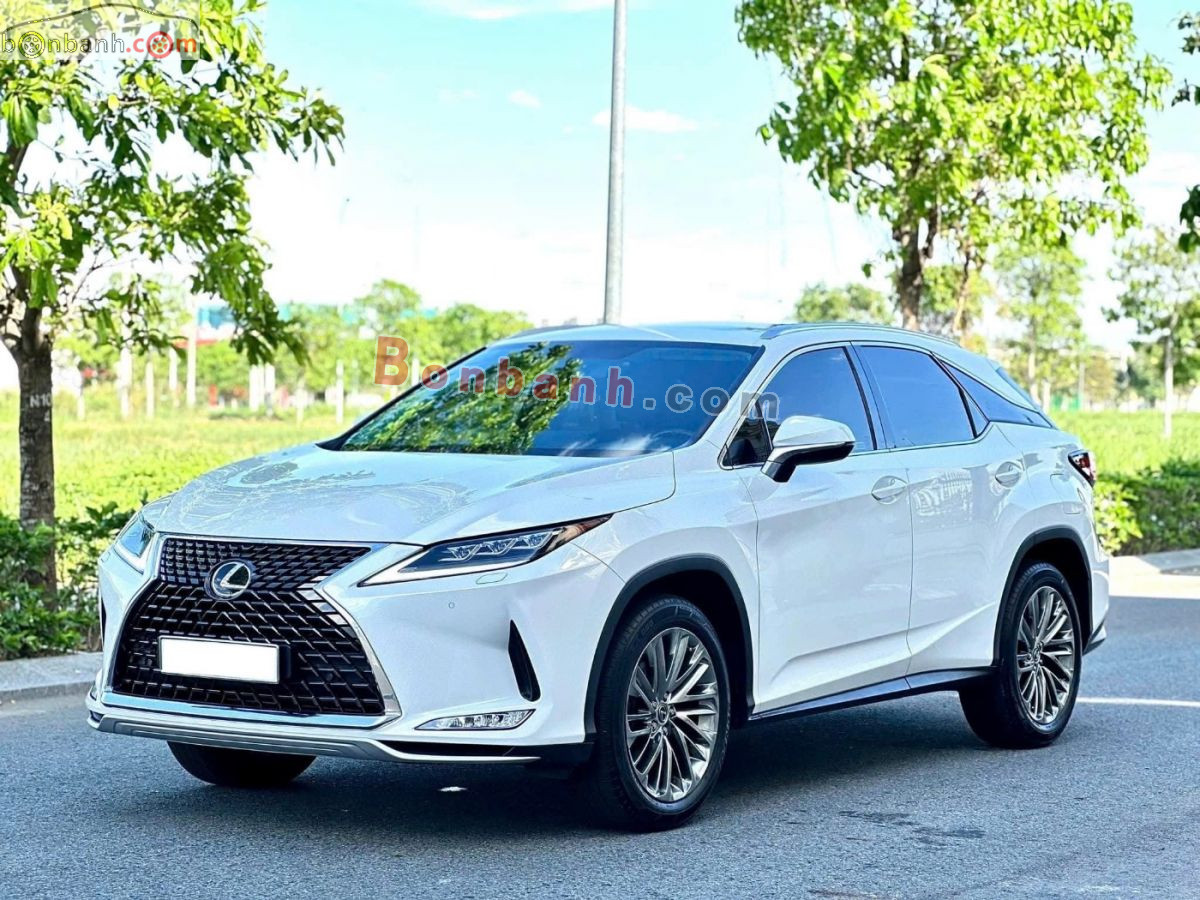 Bán ô tô Lexus RX 300 - 2020 - xe cũ
