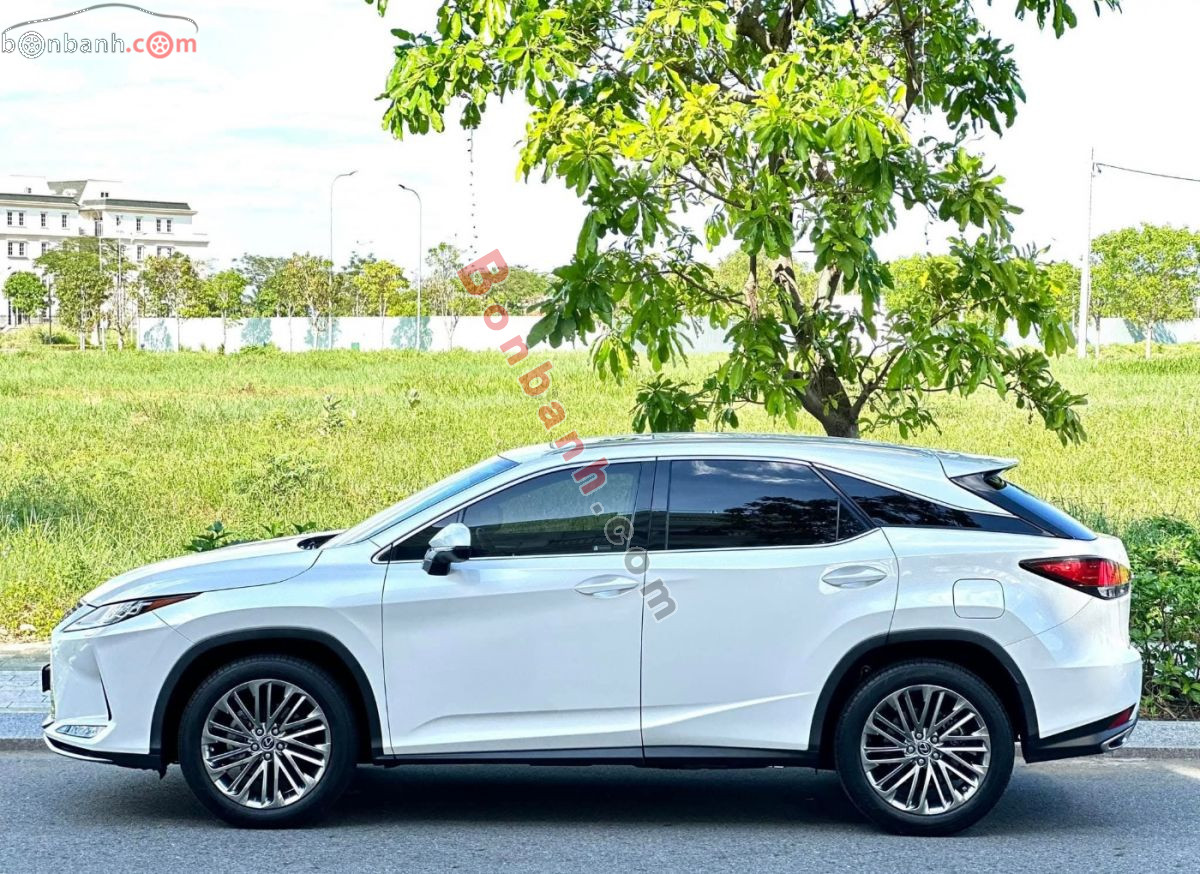 Bán ô tô Lexus RX 300 - 2020 - xe cũ