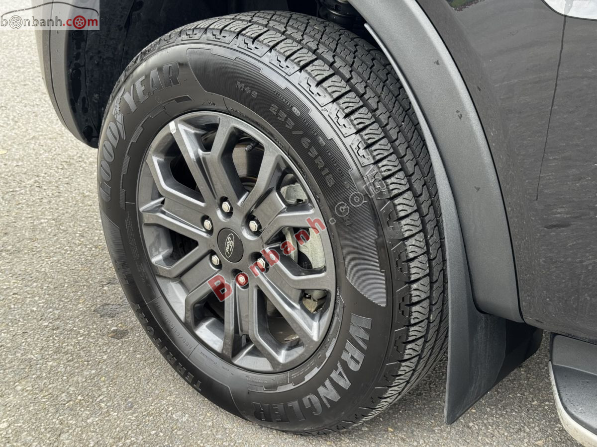 Bán ô tô Ford Ranger Wildtrak 2.0L 4x4 AT - 2024 - xe cũ