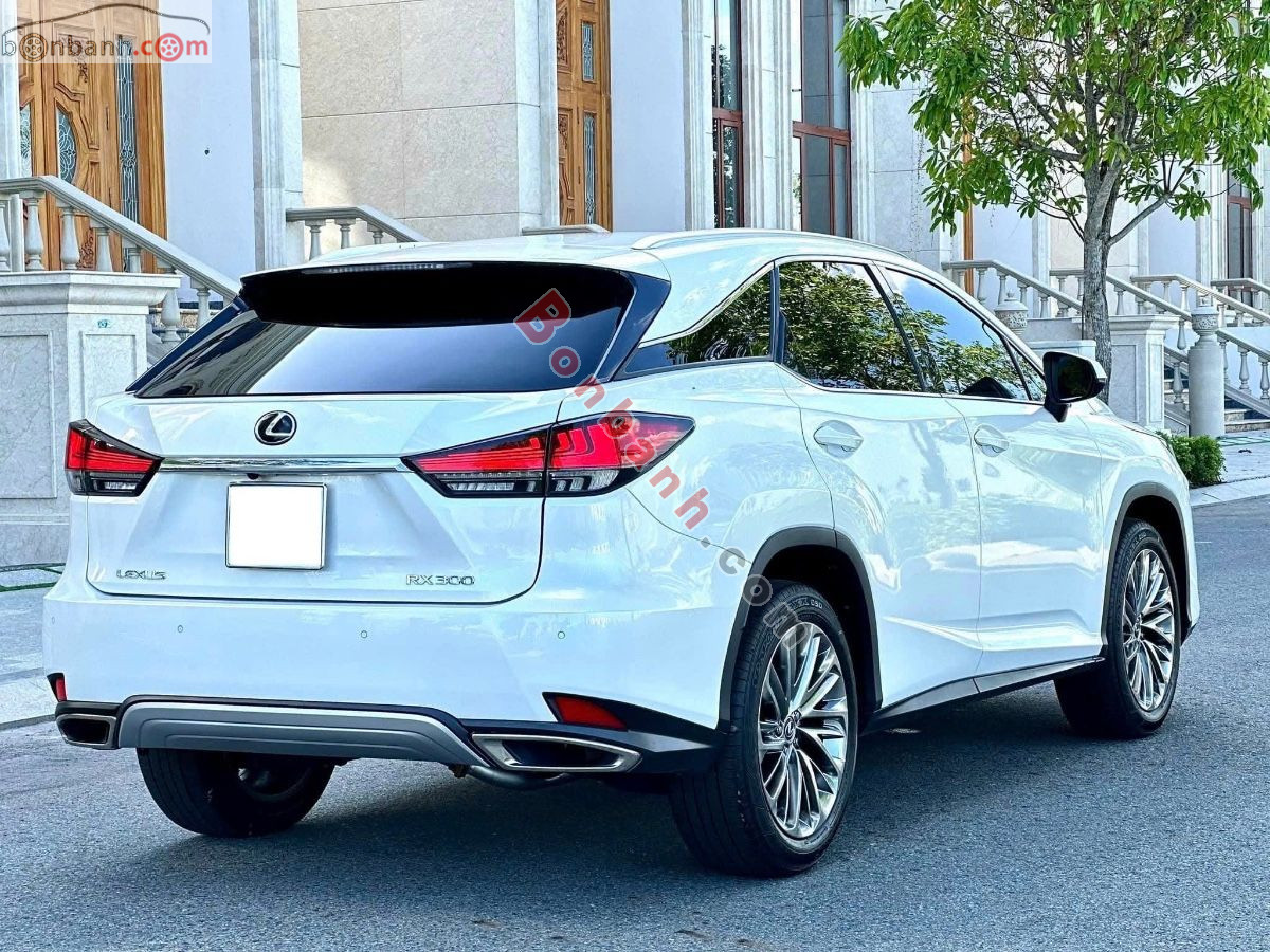 Bán ô tô Lexus RX 300 - 2020 - xe cũ