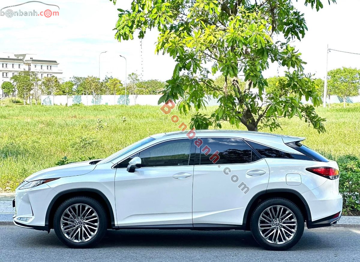 Bán ô tô Lexus RX 300 - 2020 - xe cũ