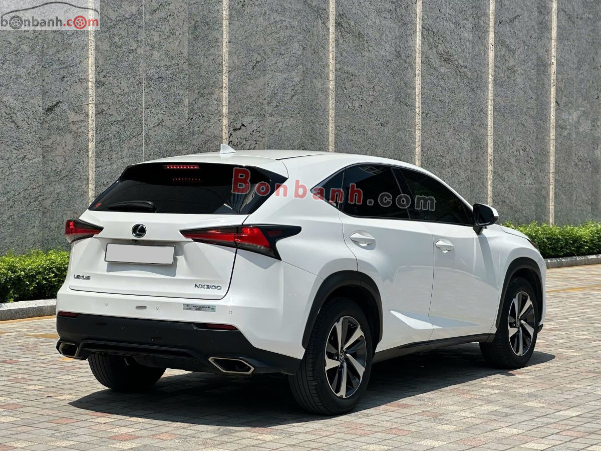 Bán ô tô Lexus NX 300 - 2019 - xe cũ