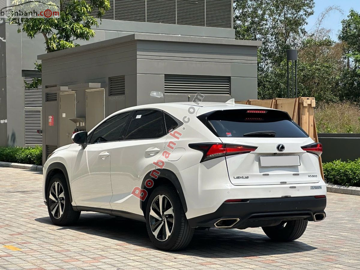 Bán ô tô Lexus NX 300 - 2019 - xe cũ