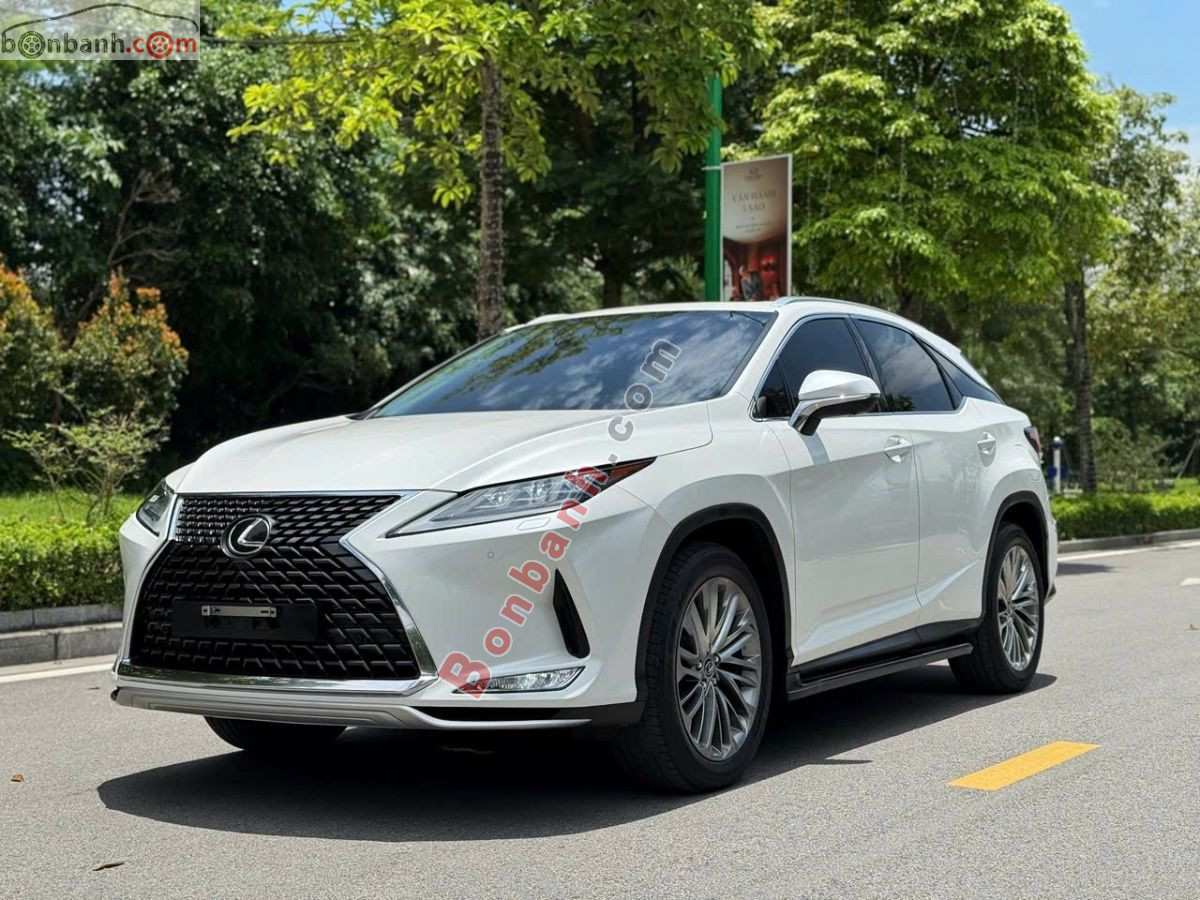 Bán ô tô Lexus RX 300 - 2020 - xe cũ