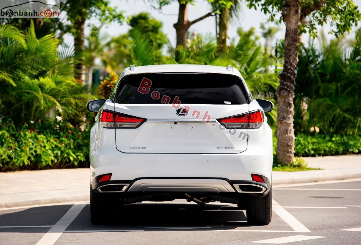 Bán ô tô Lexus RX 300 - 2020 - xe cũ