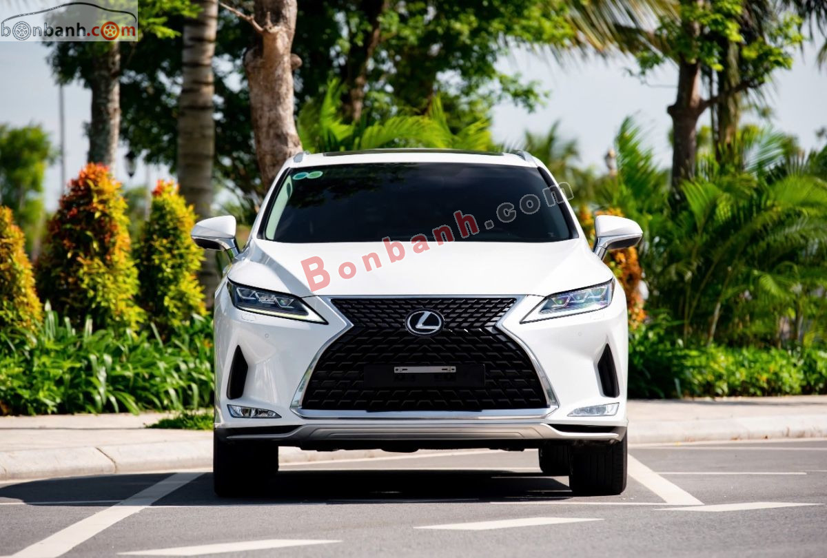 Bán ô tô Lexus RX 300 - 2020 - xe cũ