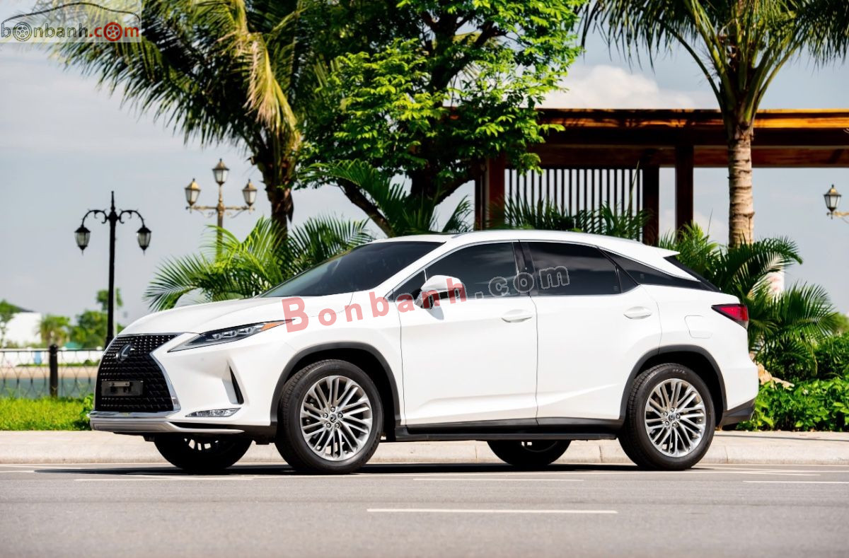Bán ô tô Lexus RX 300 - 2020 - xe cũ