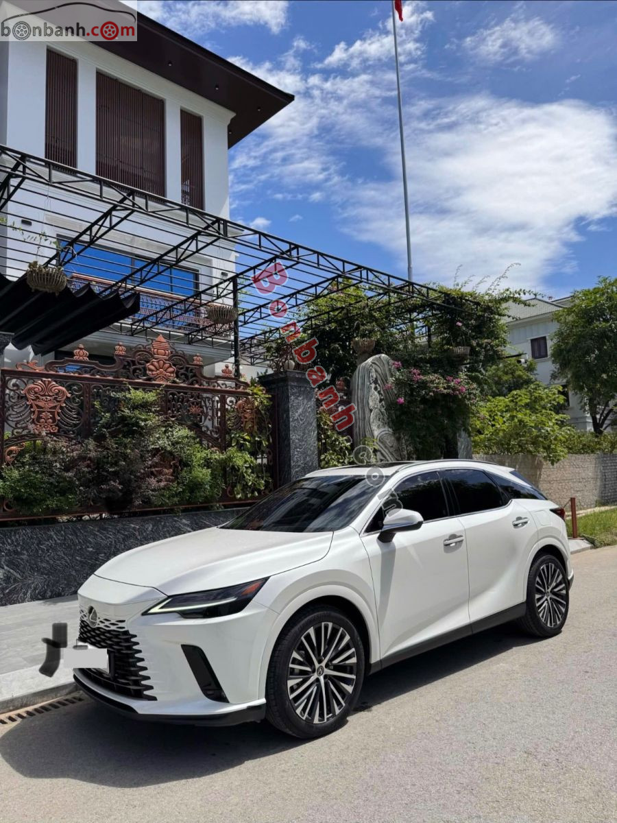 Bán ô tô Lexus RX 350 Premium - 2024 - xe cũ