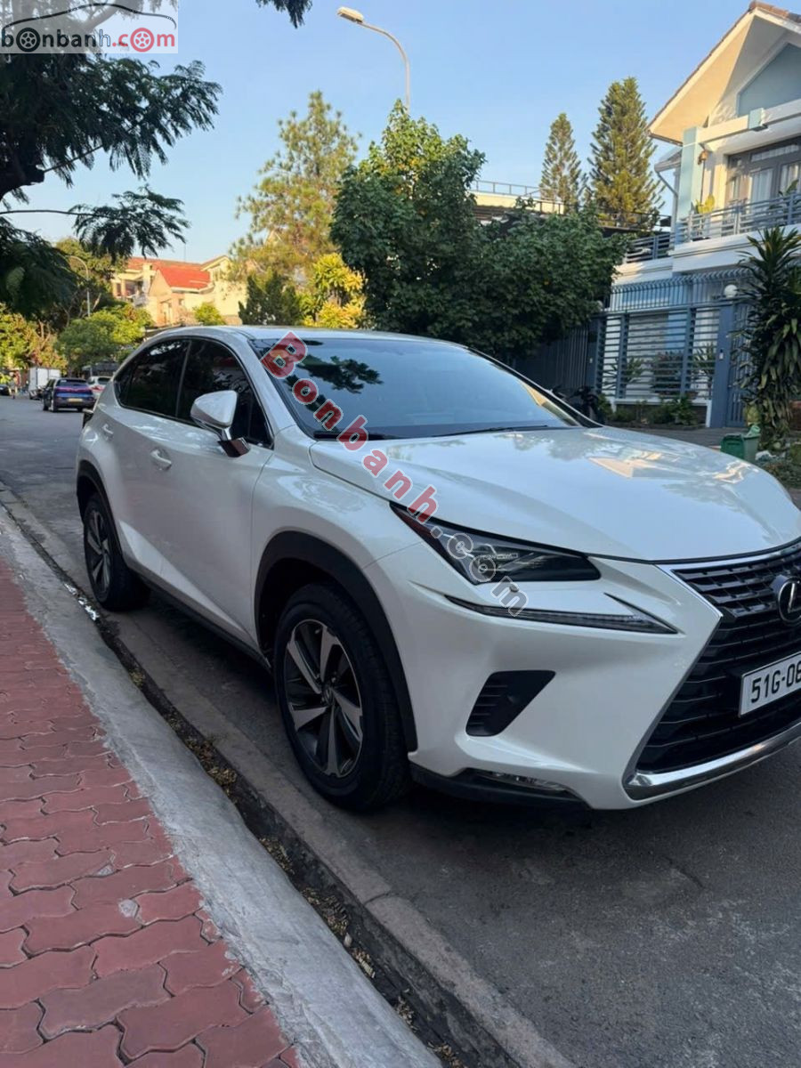 Bán ô tô Lexus NX 300 - 2017 - xe cũ