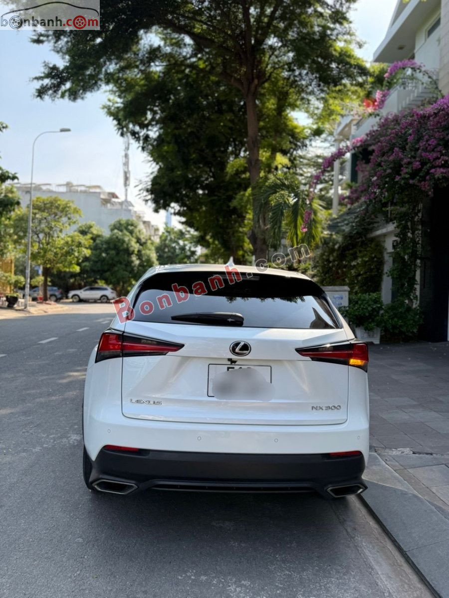 Bán ô tô Lexus NX 300 - 2017 - xe cũ