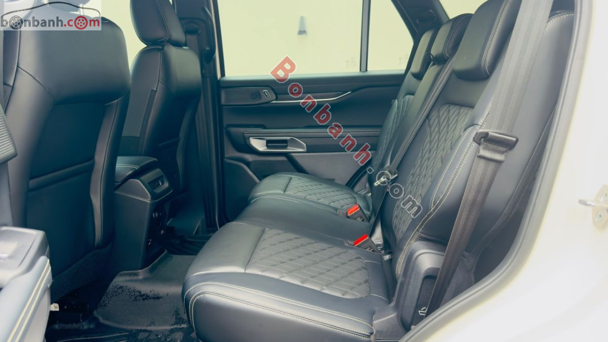 Bán ô tô Ford Everest Platinum 2.0L 4x4 AT - 2025 - xe cũ