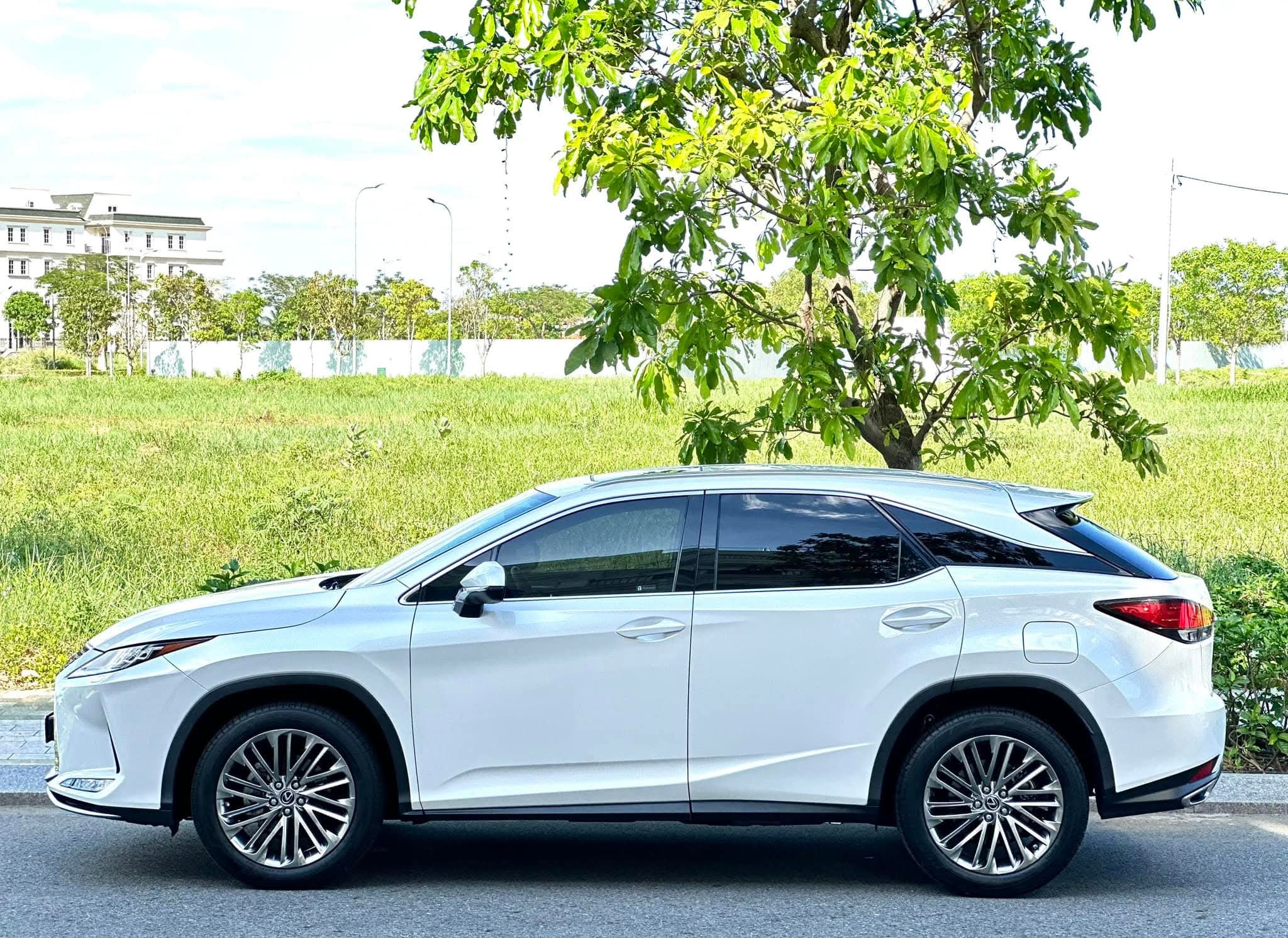Cần bán Lexus RX300 năm sản xuất 2020