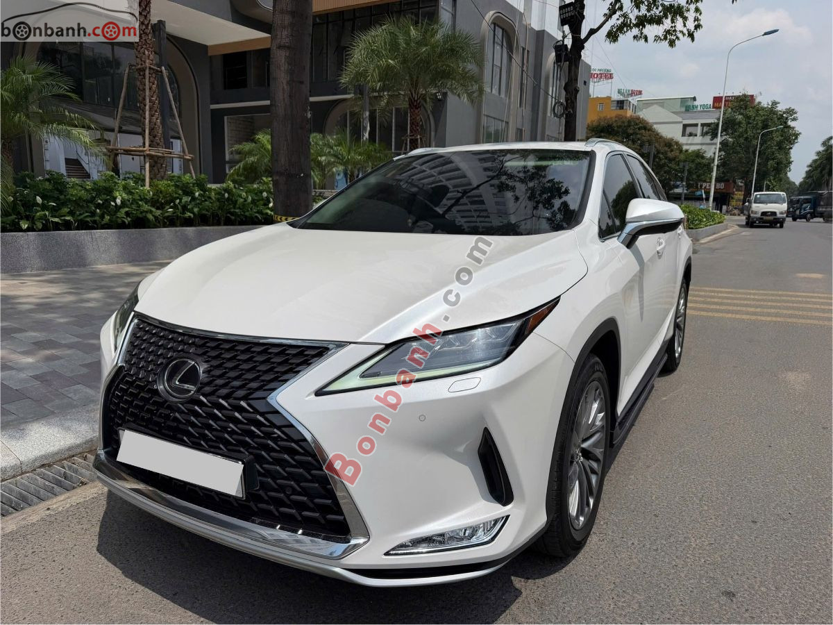 Bán ô tô Lexus RX 300 - 2020 - xe cũ