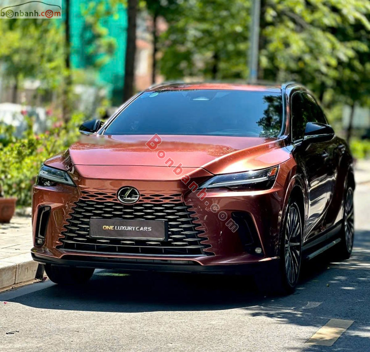 Bán ô tô Lexus RX 350 Premium - 2024 - xe cũ