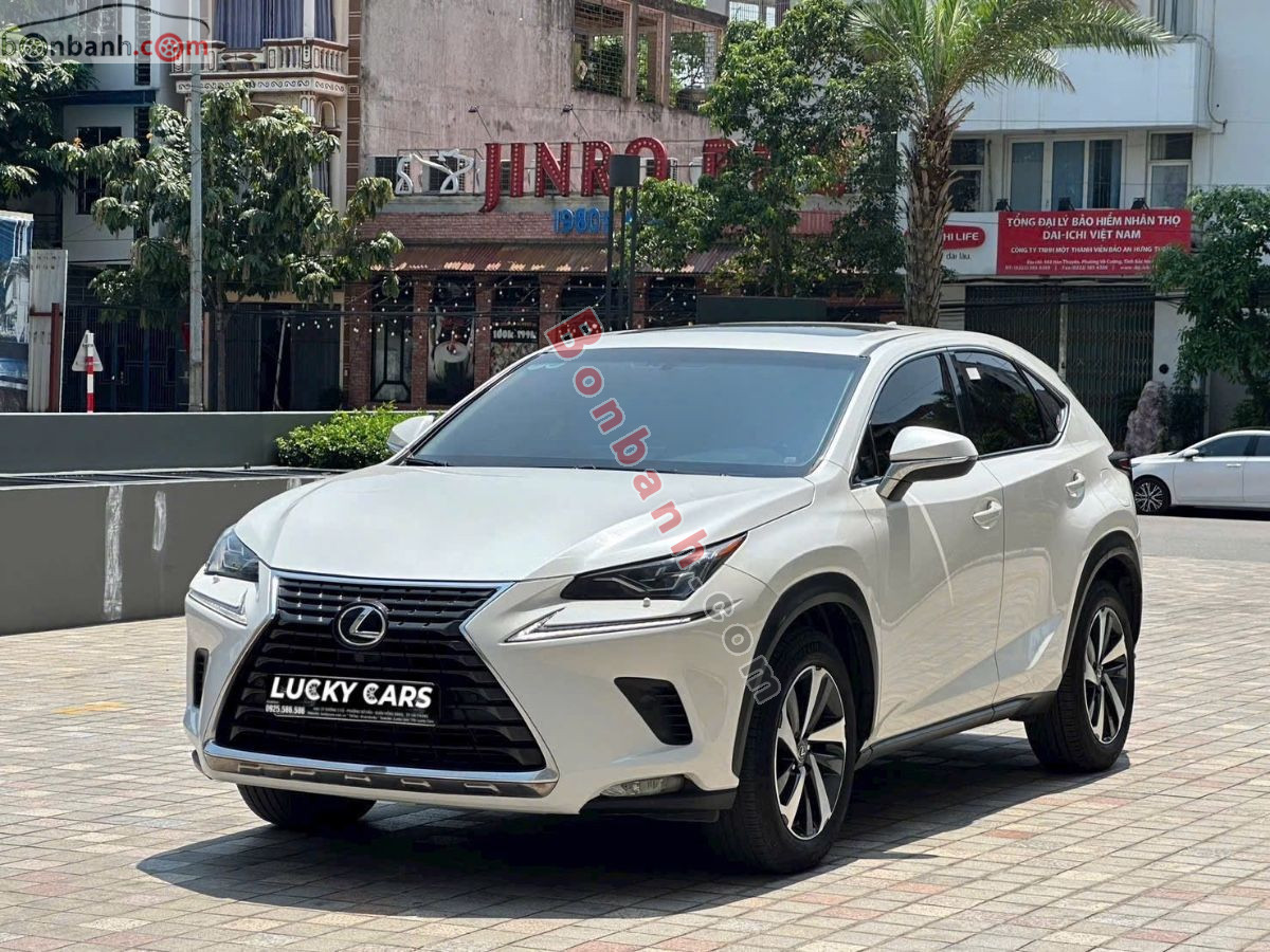 Bán ô tô Lexus NX 300 - 2019 - xe cũ